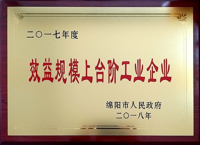 2019-1-4 2017年度效益規(guī)模上臺(tái)階企業(yè) - 副本 - 副本.jpg